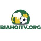 biahoitvorg's Avatar