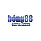 bong8880com's Avatar