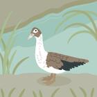 collapsingstare's Avatar