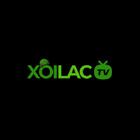xoilacarmy