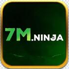7mninja's Avatar