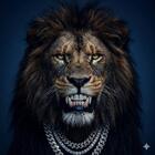smm_cheats_'s Avatar