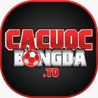 cacuocbongdato's Avatar