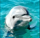 Chumaz's Avatar