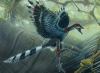 Archaeopteryx's Avatar