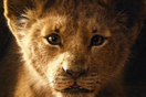 Der K�nig der L�wen: Der erste Teaser zum Disney-Realfilm