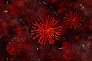 Plague Inc: Seuchenspiel aus dem chinesischen App Store entfernt