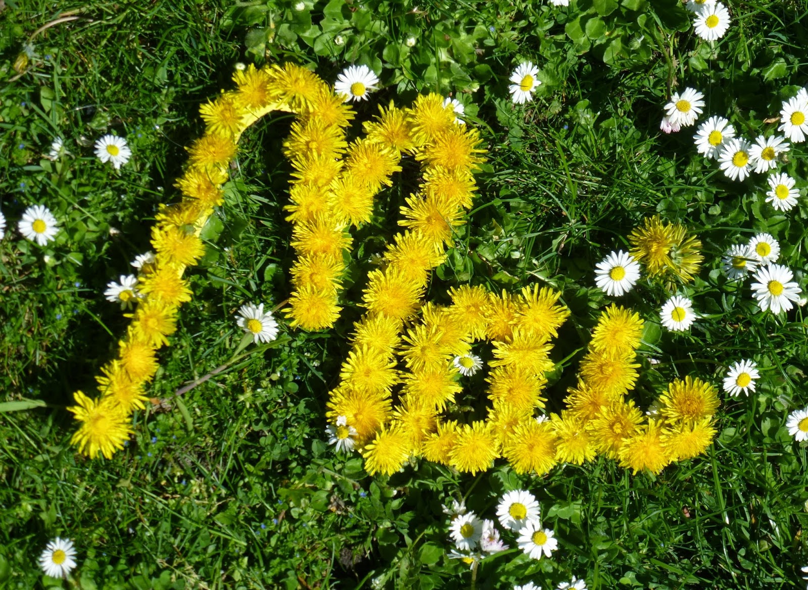 Spiele - Neuerscheinungen Mai 2020